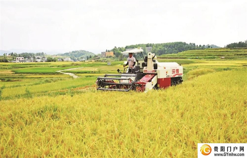 碧江：“四个统筹”推动“强村富民”走深走实(图1)