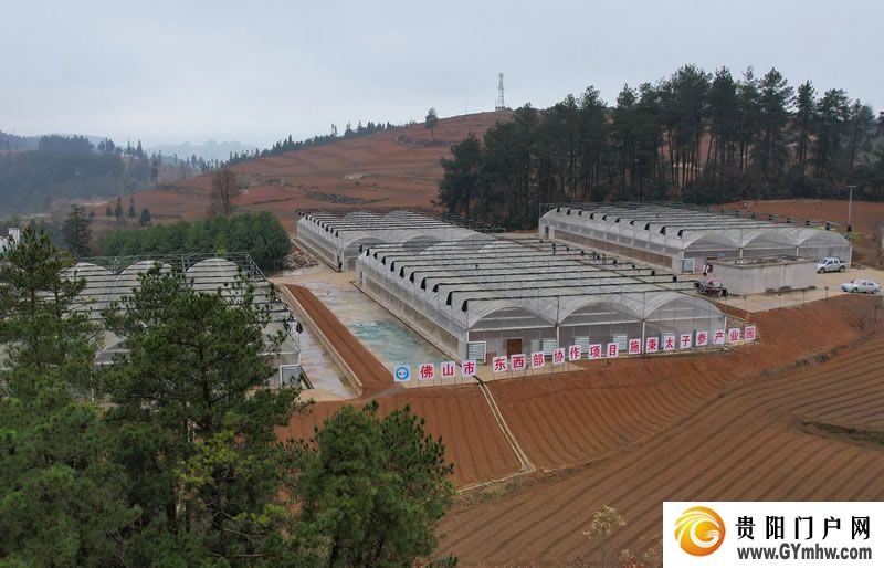 徐麟在黔东南州调研(图6) 徐麟在黔东南州调研(图6)