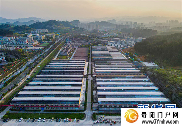 张铭代表：以“3+6+1”产业组合推进金沙强县计划(图2)