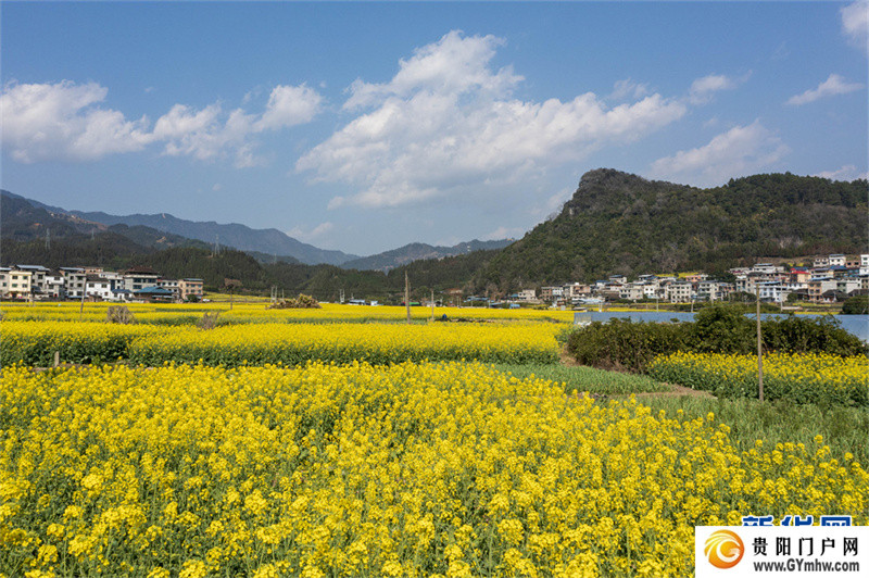 贵州从江:和美乡村春意浓(图4) 贵州从江:和美乡村春意浓(图4)