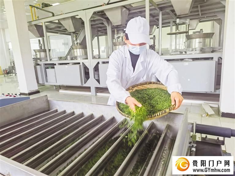 水城“精准滴灌”发展新质生产力 聚才“强磁场”加速成型(图3)