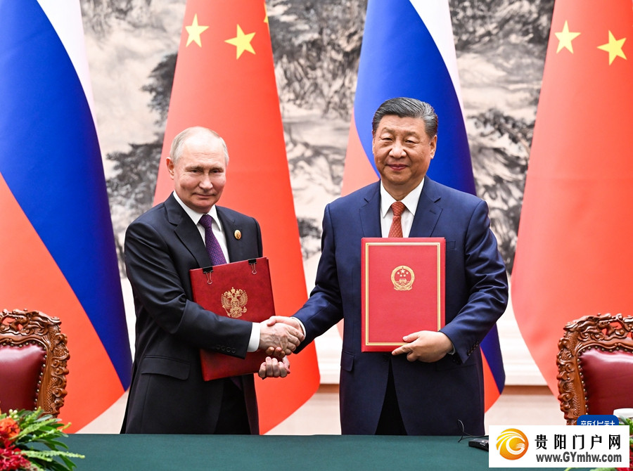 习近平同俄罗斯总统普京会谈(图3)