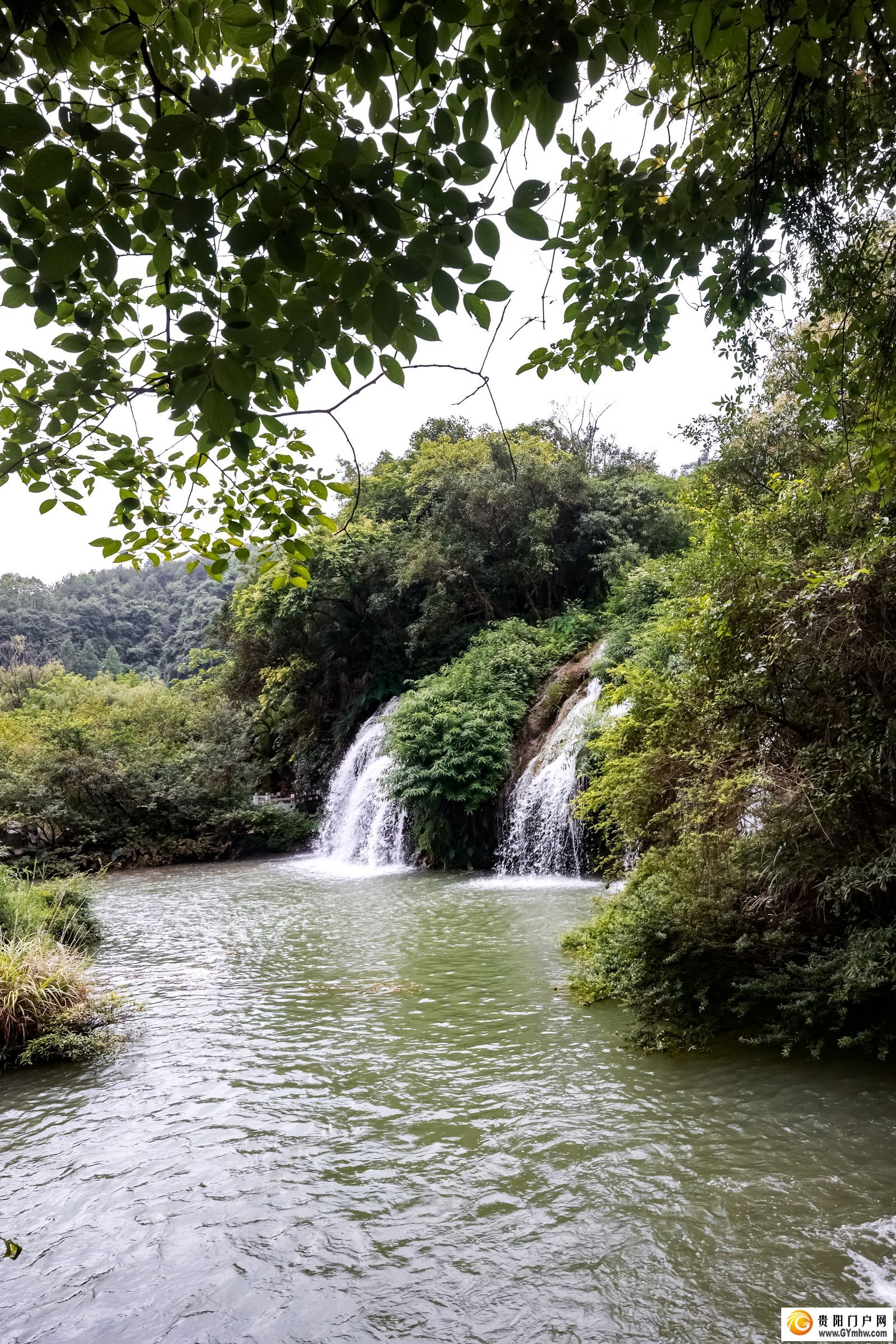 国际儒学联合会2024汉学青年学者研习营走进天河谭景区和贵阳市生态科普馆(图5) 国际儒学联合会2024汉学青年学者研习营走进天河谭景区和贵阳市生态科普馆(图5)