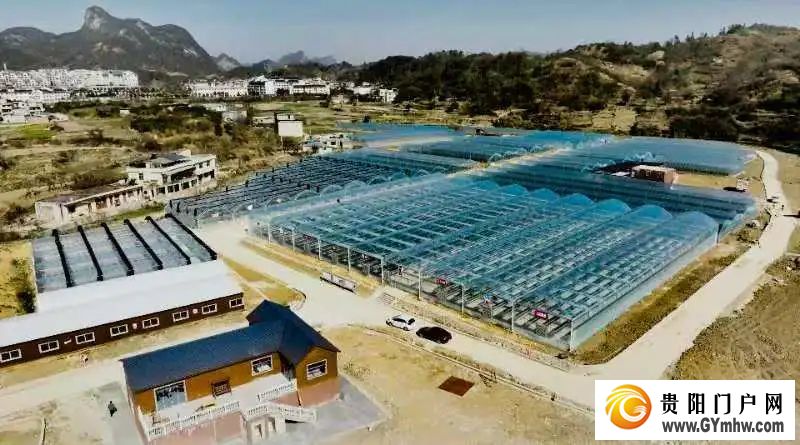 花溪《草莓园区建设规范》地方标准正式实施(图2) 花溪《草莓园区建设规范》地方标准正式实施(图2)