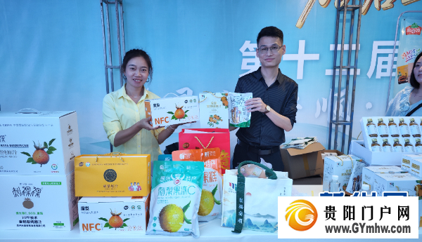 第十二届安顺旅游产业发展大会开幕(图7)