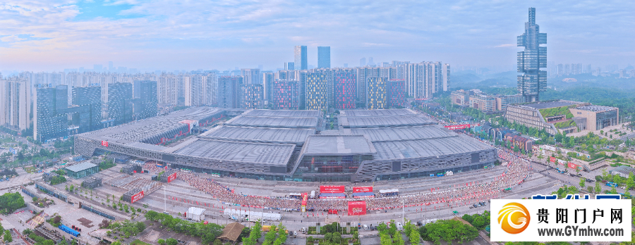 原来你是这样的“贵马”(图2)